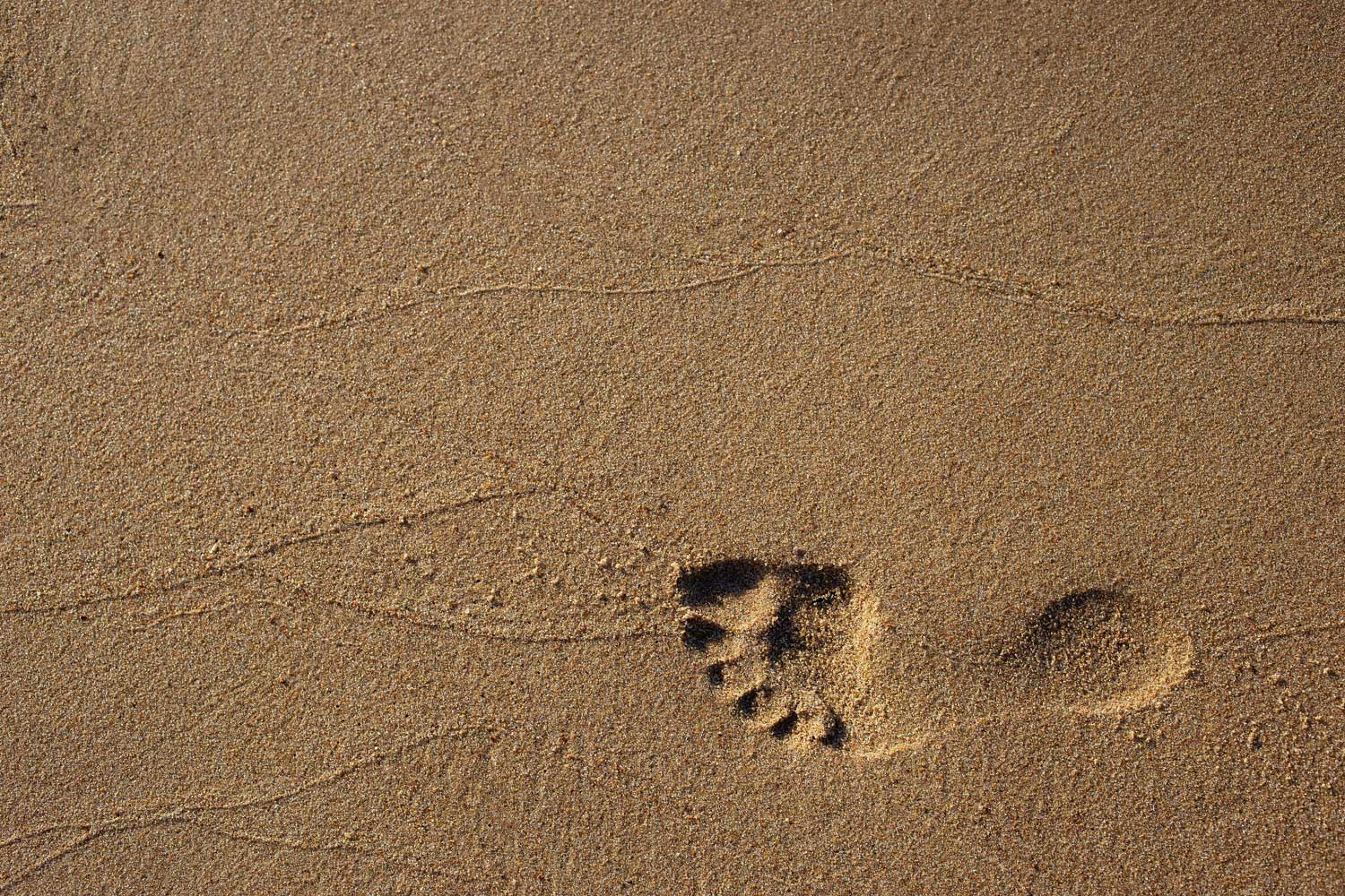 Realisierung und den Fortbestand von Klimaschutzprojekten